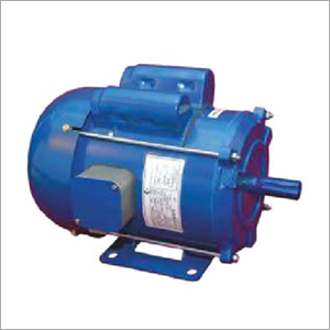 Low Voltage Motor