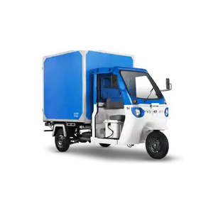 Commercial Electric Vehicles