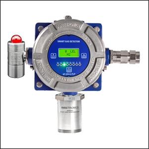 Gas Detection System