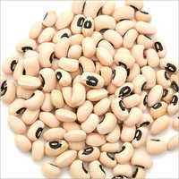 Agriculture Products 