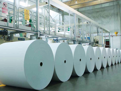 Paper & Pulp Enzyme