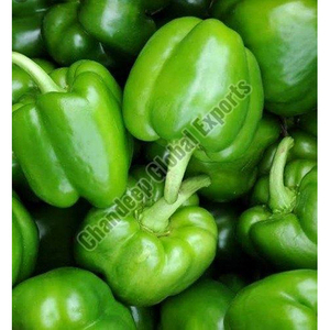 Fresh Capsicum