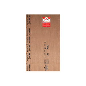 Modern Doors