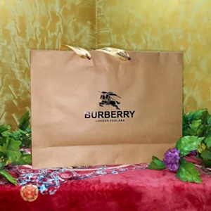 Paper Carry Bags