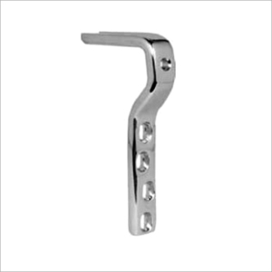 Hip Fixation System