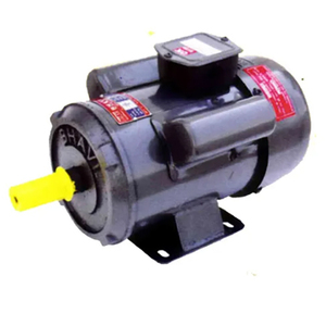 Induction Electric Motor