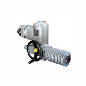 Electric Actuator