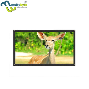 Projector Screen Monitor