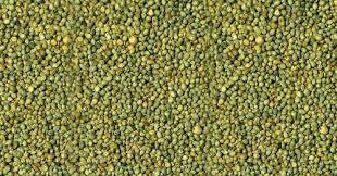 Green Millet