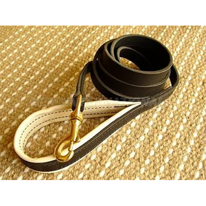 Dog Collars