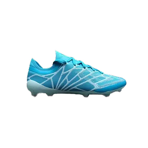 Footwear Products