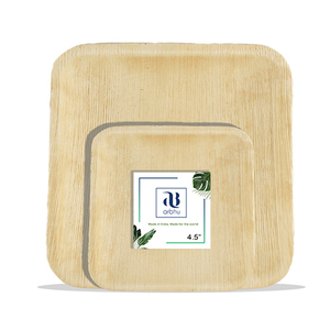 Disposable Plates