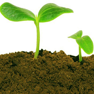 Organic Farming Solution