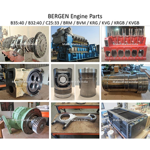 BERGEN Engine Parts BERGEN Engine Parts