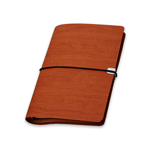 Modern Diaries