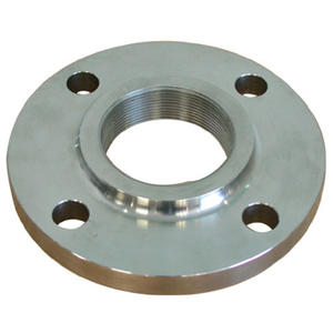 Stainless Steel Flanges