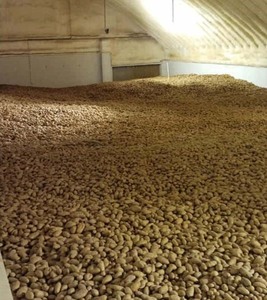 Vagitable Cold Storage